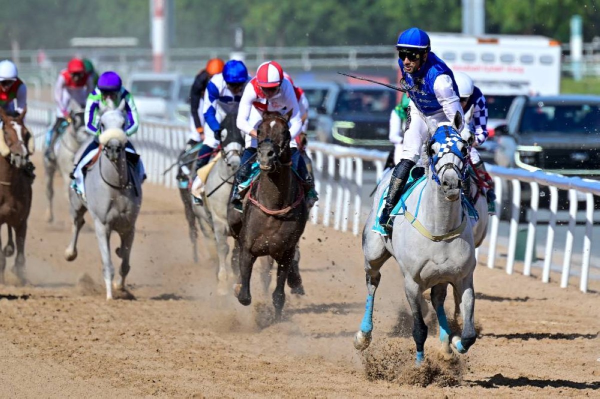 فلاح بطل «دبي كحيلة كلاسيك»