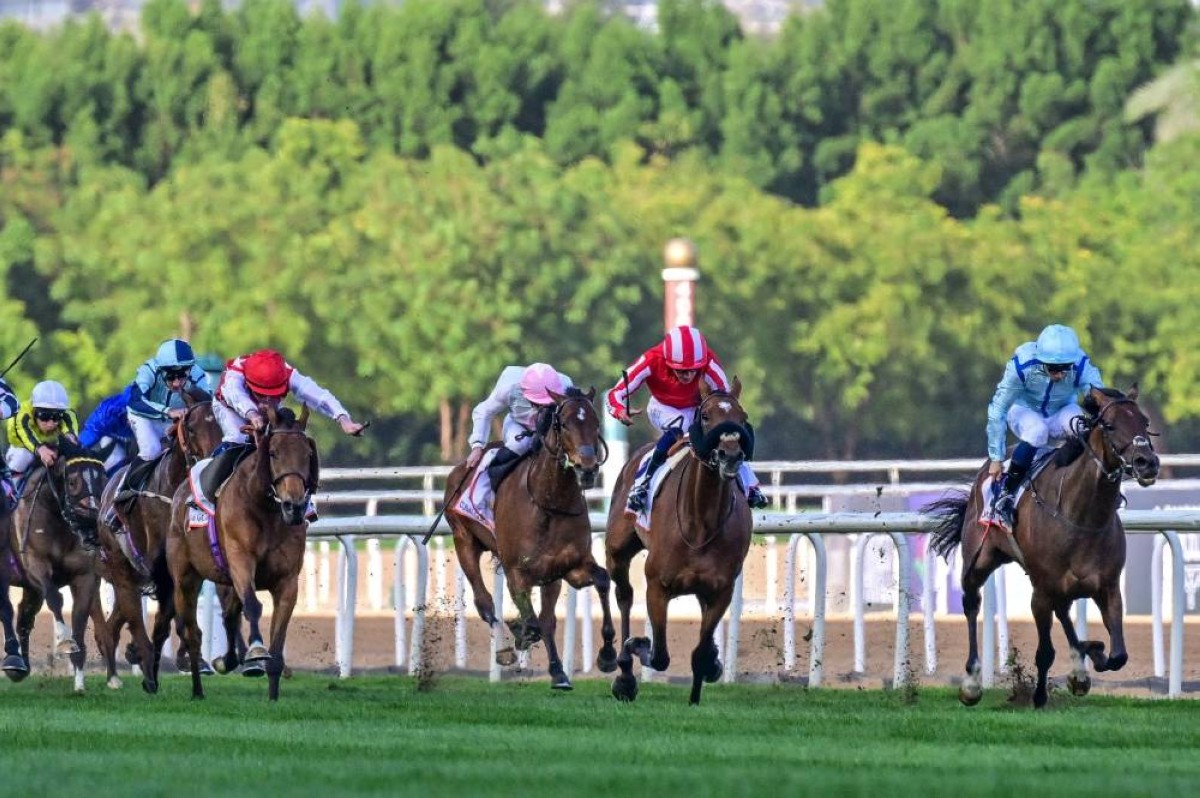 «فيري غلين» بطلة «كأس دبي الذهبي»