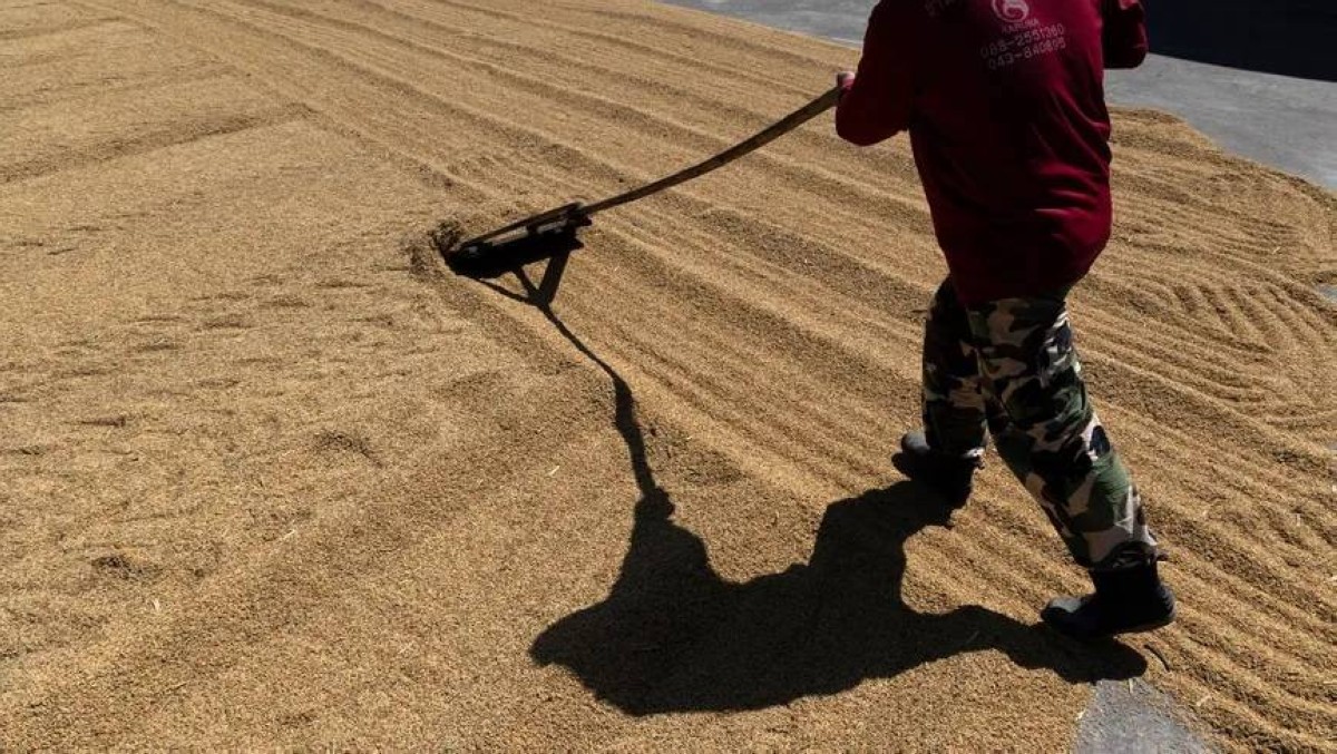 الفلبين تسعى لفرض سقف لسعر الأرز لمدة شهر مع صعود كلفة الوقود