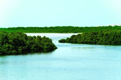 حرص متواصل على تنفيذ البرامج البيئية المتكاملة