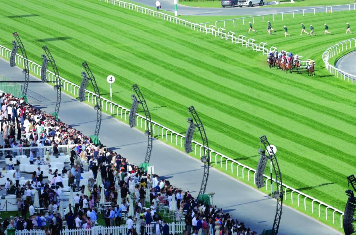 الجمهور استمتع بالمنافسة القوية بين نخبة خيول العالم