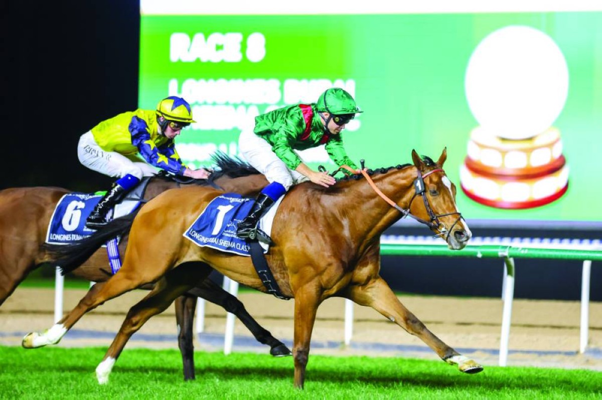 «كالاندغان» تفوق على منافسيه 