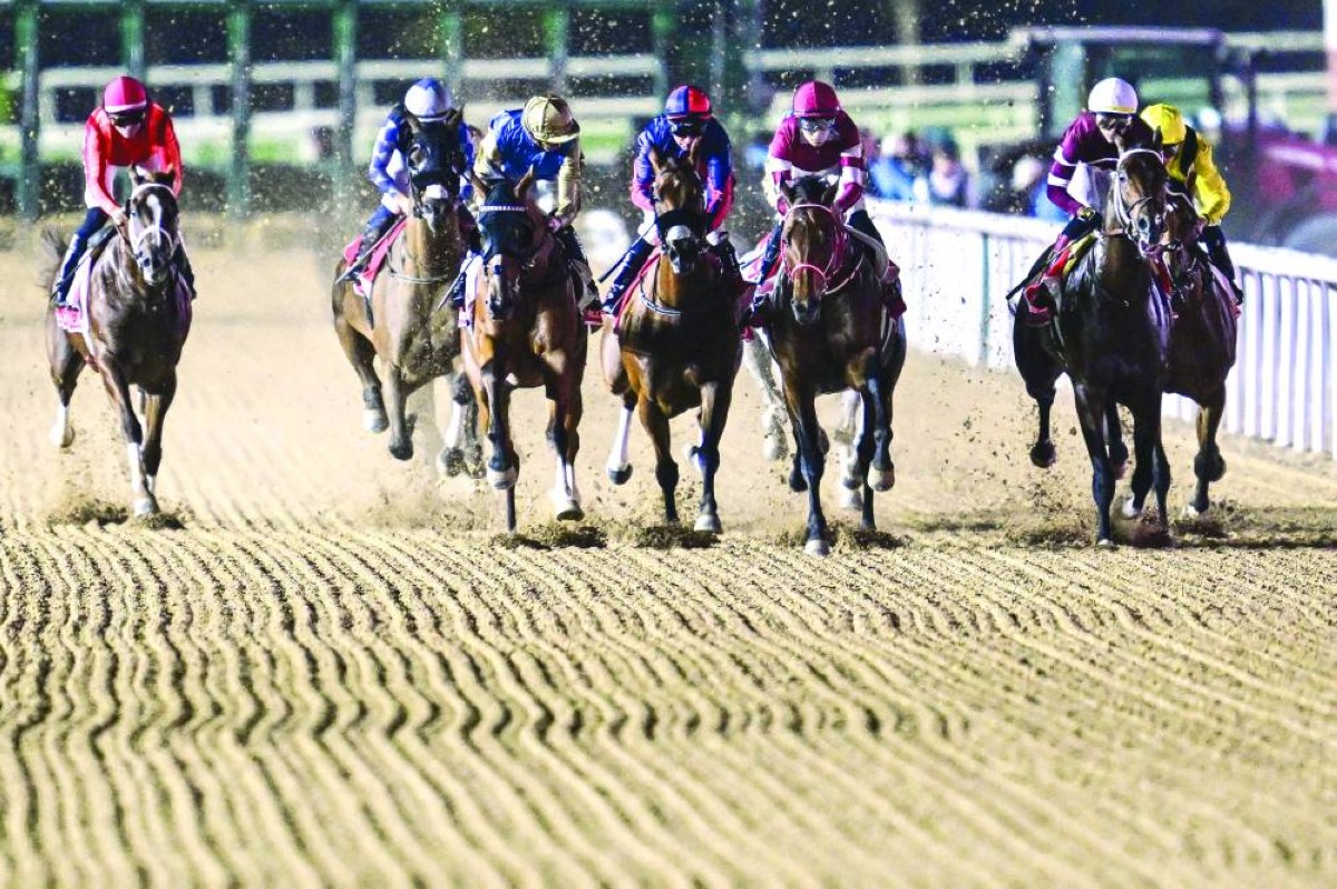 منافسة قوية في جميع الأشواط