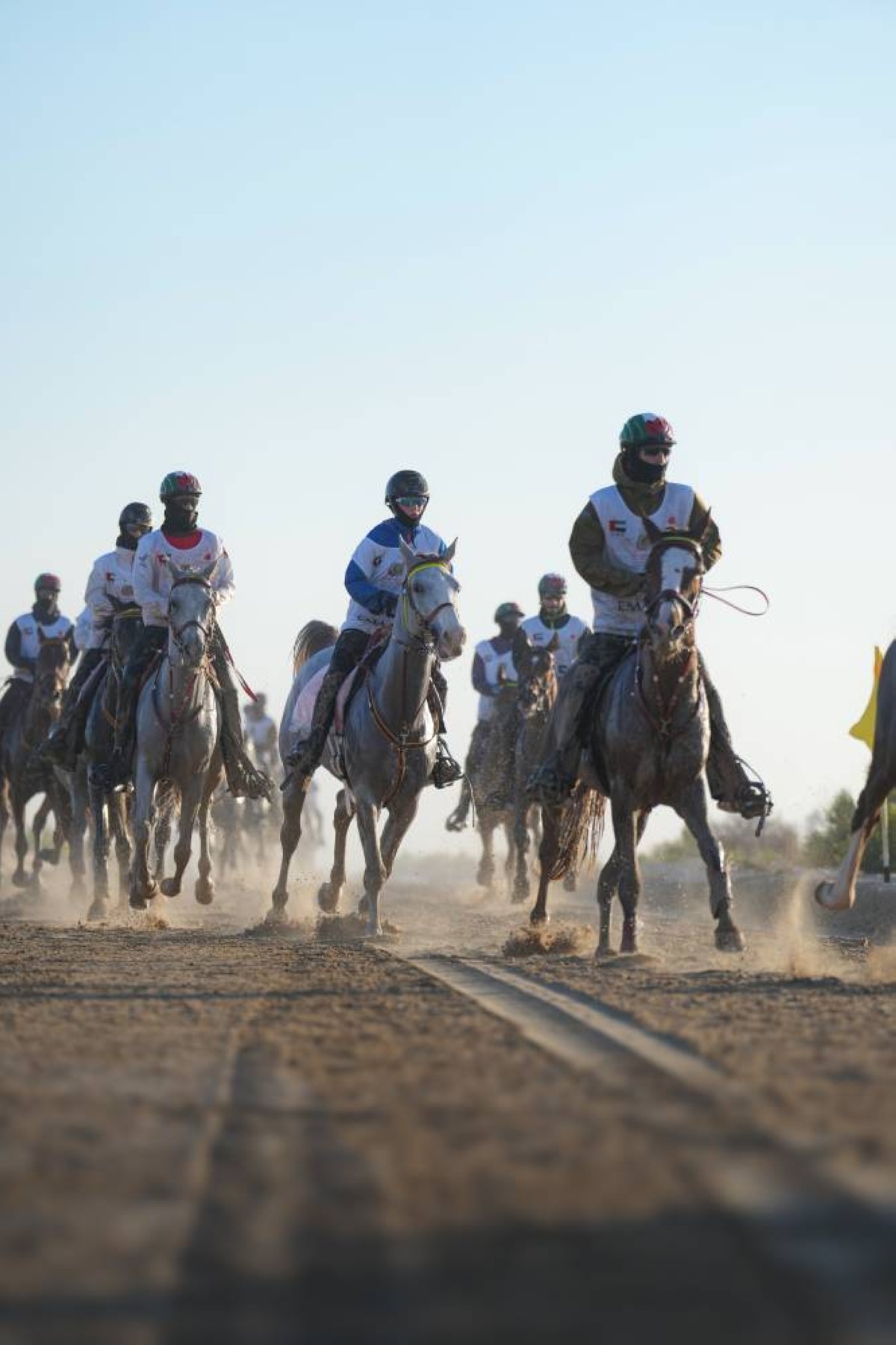النسخة الـ 18 من «مهرجان ولي عهد دبي للقدرة» تشهد انطلاق «كأس اليمامة للأفراس»