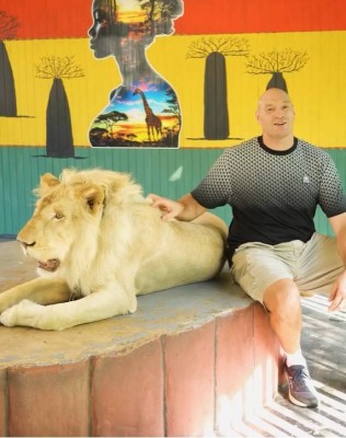 تايسون يروض الأسود استعداداً لمواجهة مقاتل الدببة