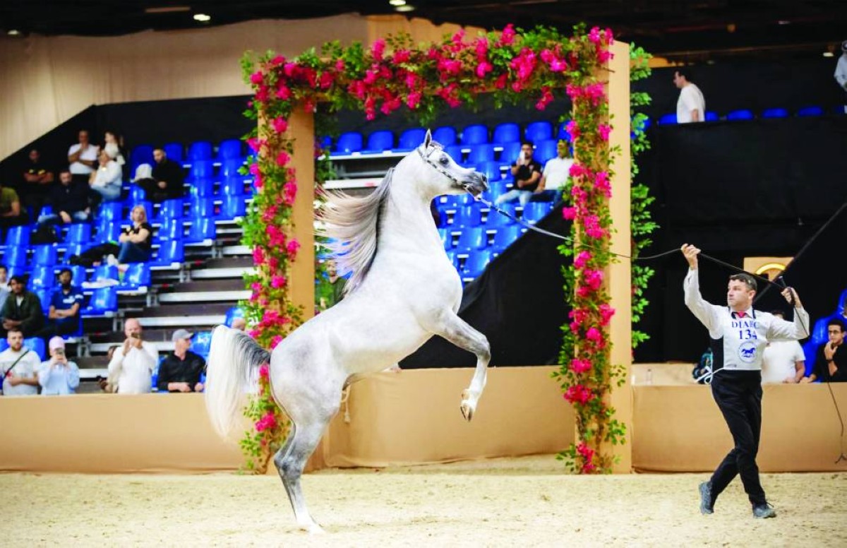 إعلان قائمة حكام بطولة دبي الدولية للجواد العربي في نسختها الـ23