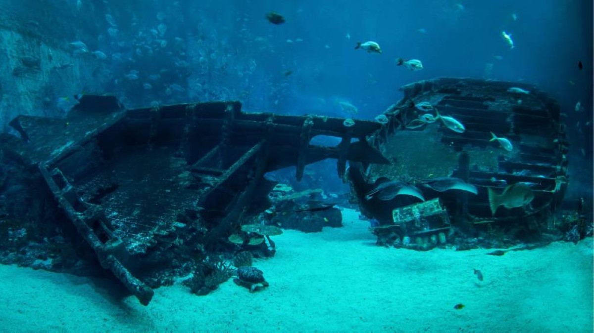 في أعماق البحر المتوسط.. مقبرة سفن تكشف أسرار 2000 عام