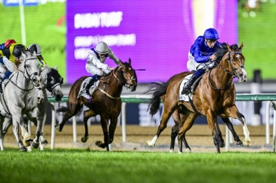 «ميدان» يستضيف «السباق التجريبي» الختامي للخيول العربية غداً