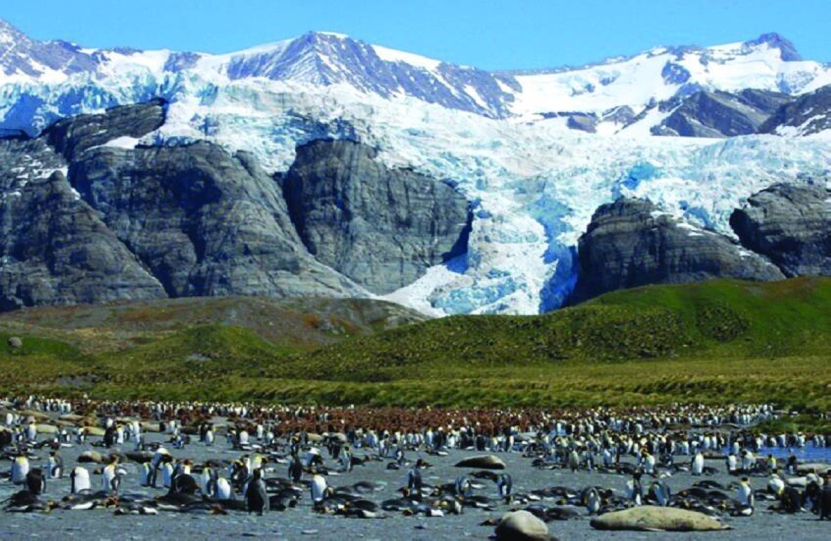 «أنتاركتيكا» تؤثر في الحياة البحرية