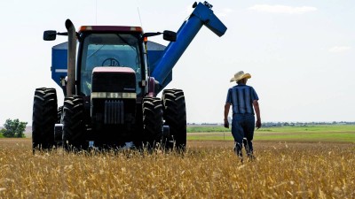 لماذا يمكن للأسعار العالمية للغذاء الصمود أمام صدمة النفط والأسمدة؟