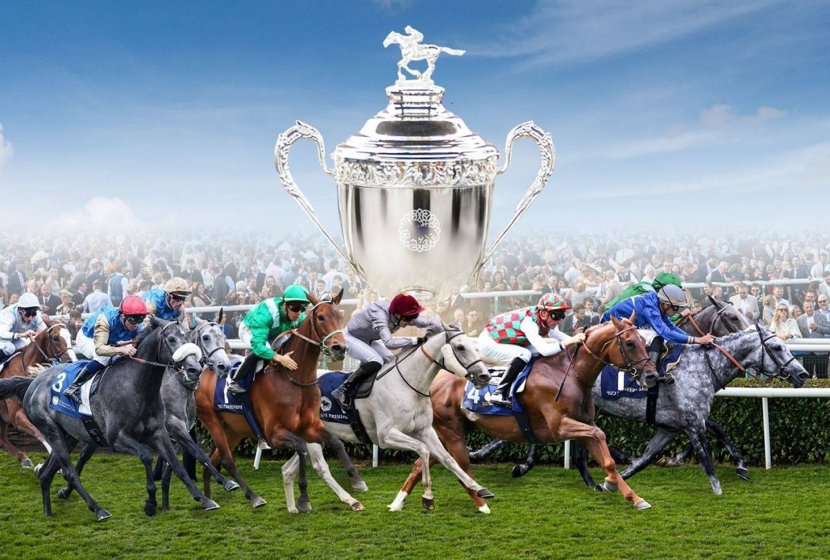 الإمارات تُعلن تفاصيل النسخة الـ33 لـ«كأس صاحب السمو رئيس الدولة للخيول العربية» 2026