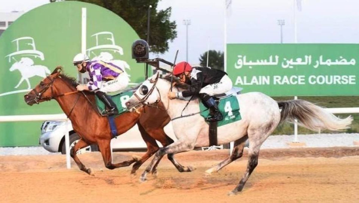 ديربي العين وتحدي السرعة يشعلان السباق الـ 13 لمضمار العين