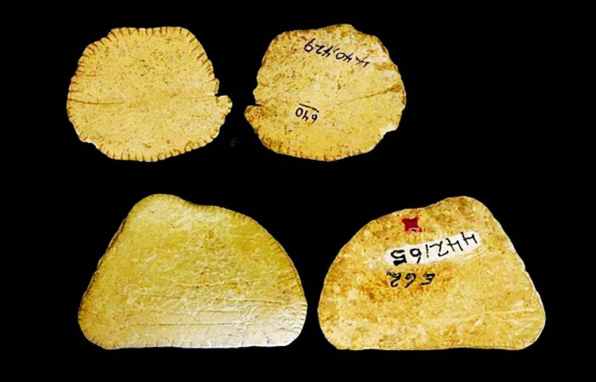 الهنود الحمر عرفوا النرد قبل 12 ألف عام