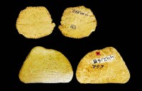 الهنود الحمر عرفوا النرد قبل 12 ألف عام