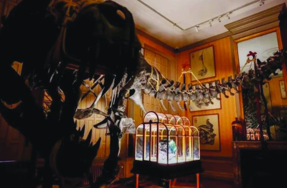 حقيبة مصنوعة من كولاجين الديناصور