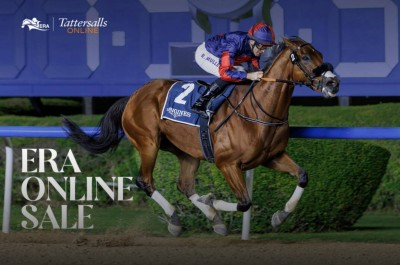 مزاد هيئة الإمارات لسباق الخيل يسجل مشاركة قياسية بزيادة 154%