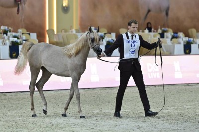 تصوير: باتريك كاستلو