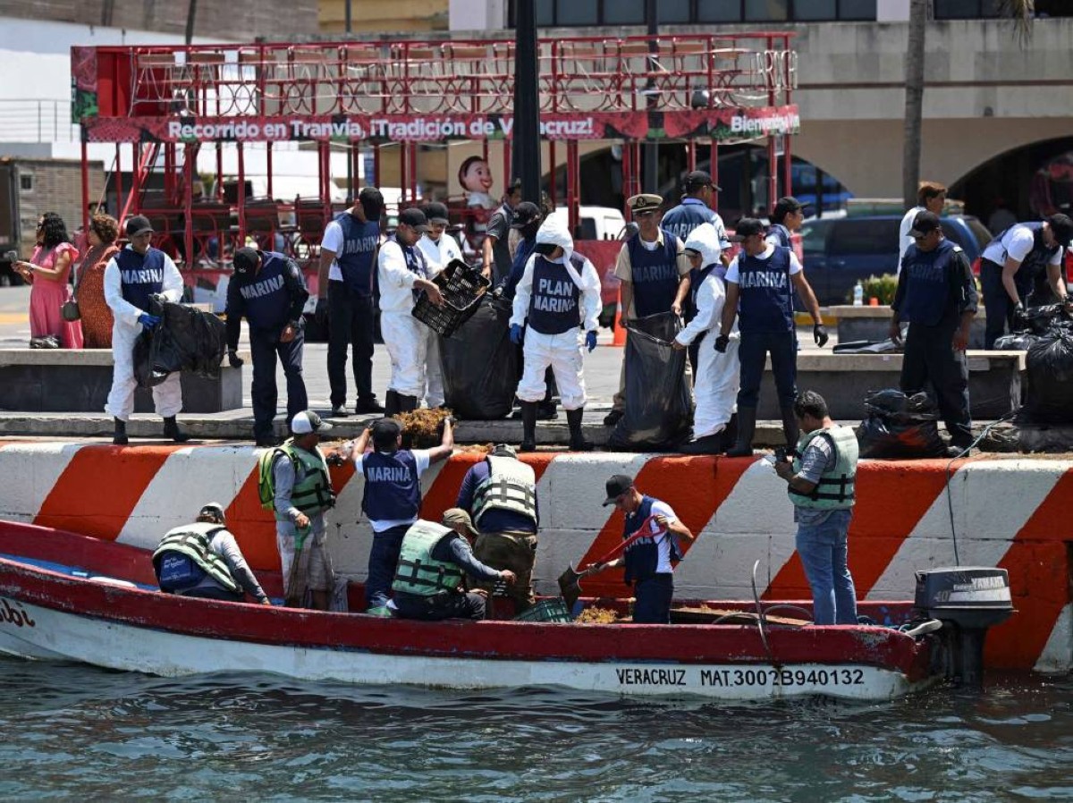 جمع 889 طناً من الملوثات بعد تسرب نفطي في خليج المكسيك