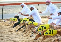 ختام تصفيات «بطولة السلق» وإعلان المتأهلين للنهائيات 12 أبريل الجاري