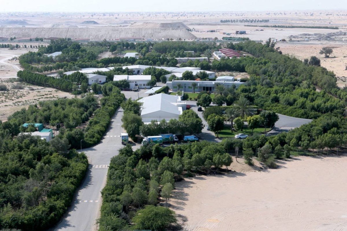  القدرات الإنتاجية الكبيرة لشركاتنا الوطنية تلبي الطلب المحلي 