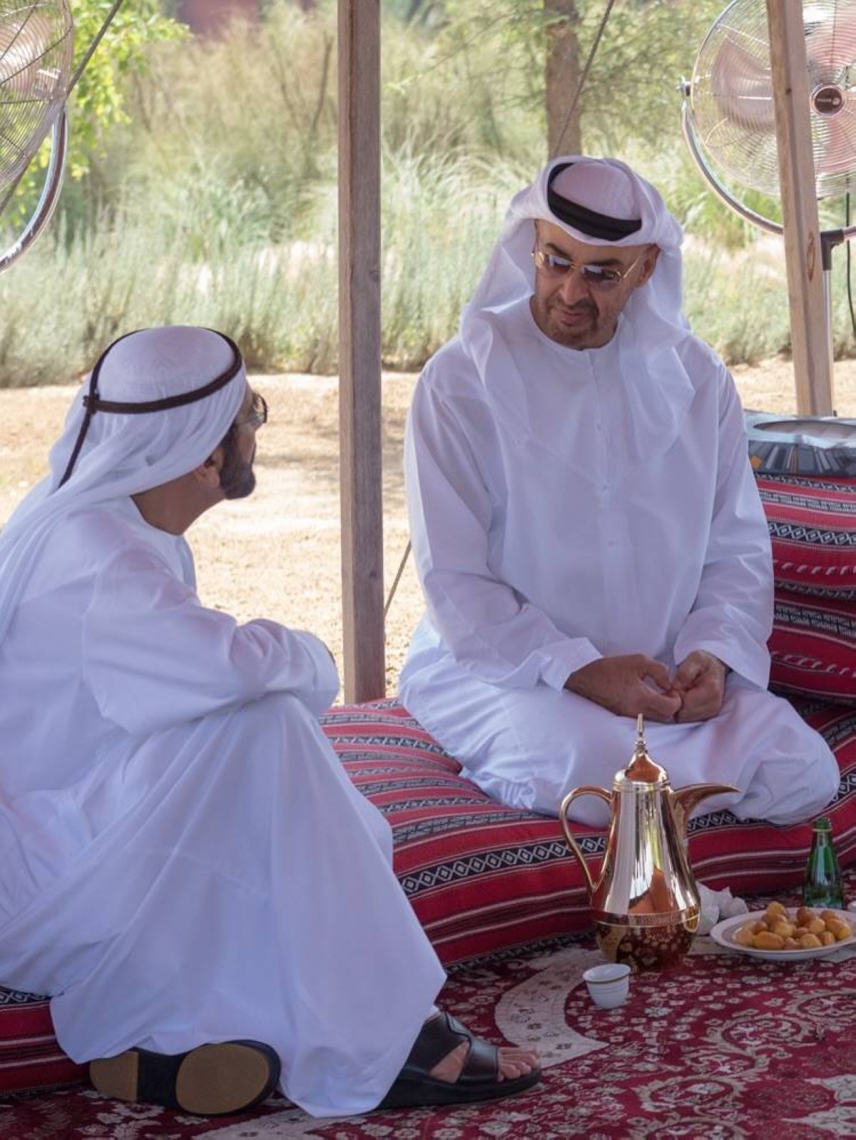 حمدان بن محمد في رائعة شعرية جديدة: محمّـدين الدار هم حصنه ودرعه والحزام