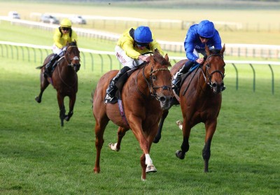 «مرشدي» لأحمد بن راشد يتألق في «كريفن الإنجليزي»