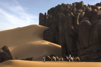 العقلية.. تسبق اللقطة!