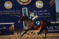الجواد «آر بي بوي فريند» بطل كأس رئيس الدولة للخيول العربية الأصيلة في تونس