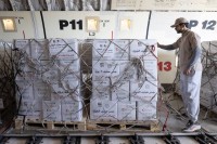 وصول طائرة إماراتية محملة بـ100 طن مساعدات لغزة