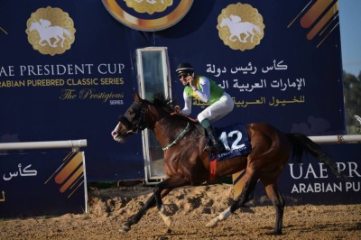 الجواد «آر بي بوي فريند» بطل كأس رئيس الدولة للخيول العربية الأصيلة في تونس