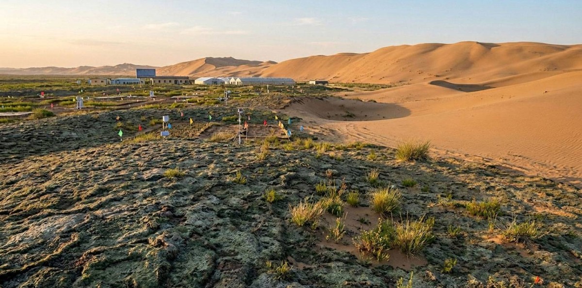 ثورة علمية تغيّر وجه الصحراء.. ابتكار مذهل يحوّل الرمال إلى أرض خضراء