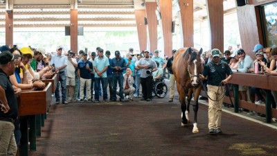 10.5 ملايين دولار لمهر بعمر السنتين يشعل مزاداً في أمريكا