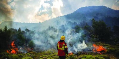 حرائق الغابات تزيد خطر الإصابة بالسرطان