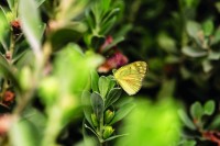 المبادرة تتيح للجميع فرصة الاستمتاع بالطبيعة