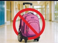 القرار يسهم في تحسين انسيابية حركة الممرات