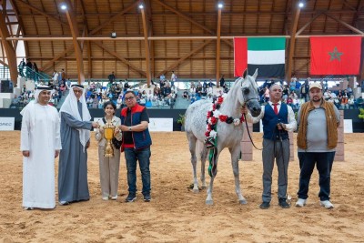 ختام مميز لكأس الإمارات العالمي للخيول العربية بالمغرب