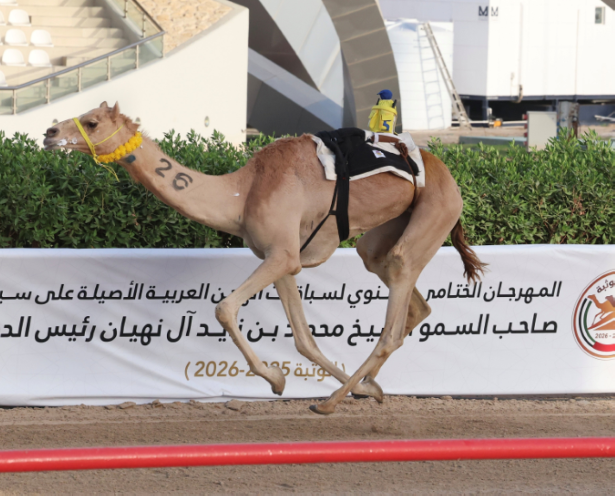 «أرياف» تنتزع كأس الإيذاع في ختامي الوثبة للهجن