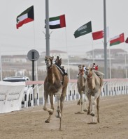 ختامي الوثبة 2026.. «مثايل» تعانق السيف الفضي لفئة الإنتاج