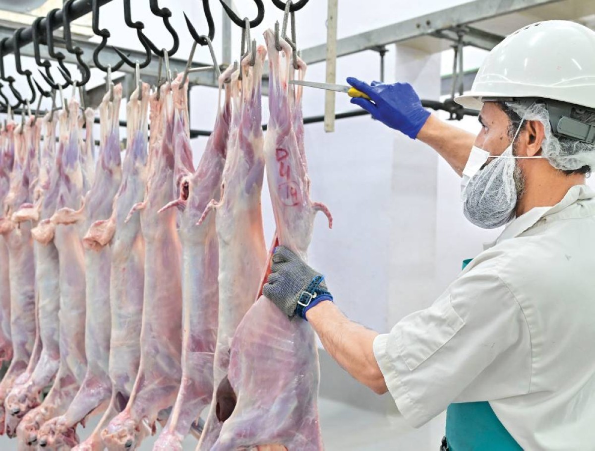 المسالخ المرخصة توفر منظومة متكاملة من الفحص البيطري قبل الذبح وبعده