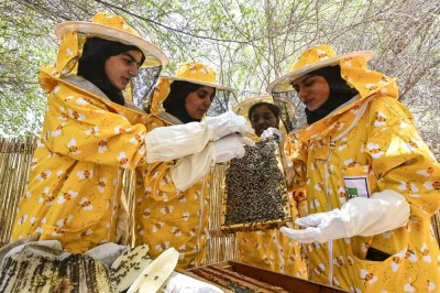 في تجربة مبتكرة.. طالبات يبحثن فهم الطبيعة والعثور على الملكة