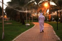مماشي مدينة العين.. وجهات رياضية ومتنفس طبيعي