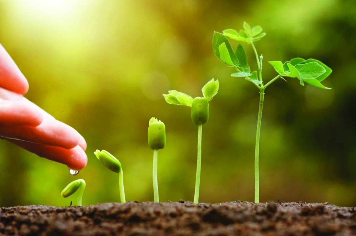 النباتات تشم نمو نظيراتها