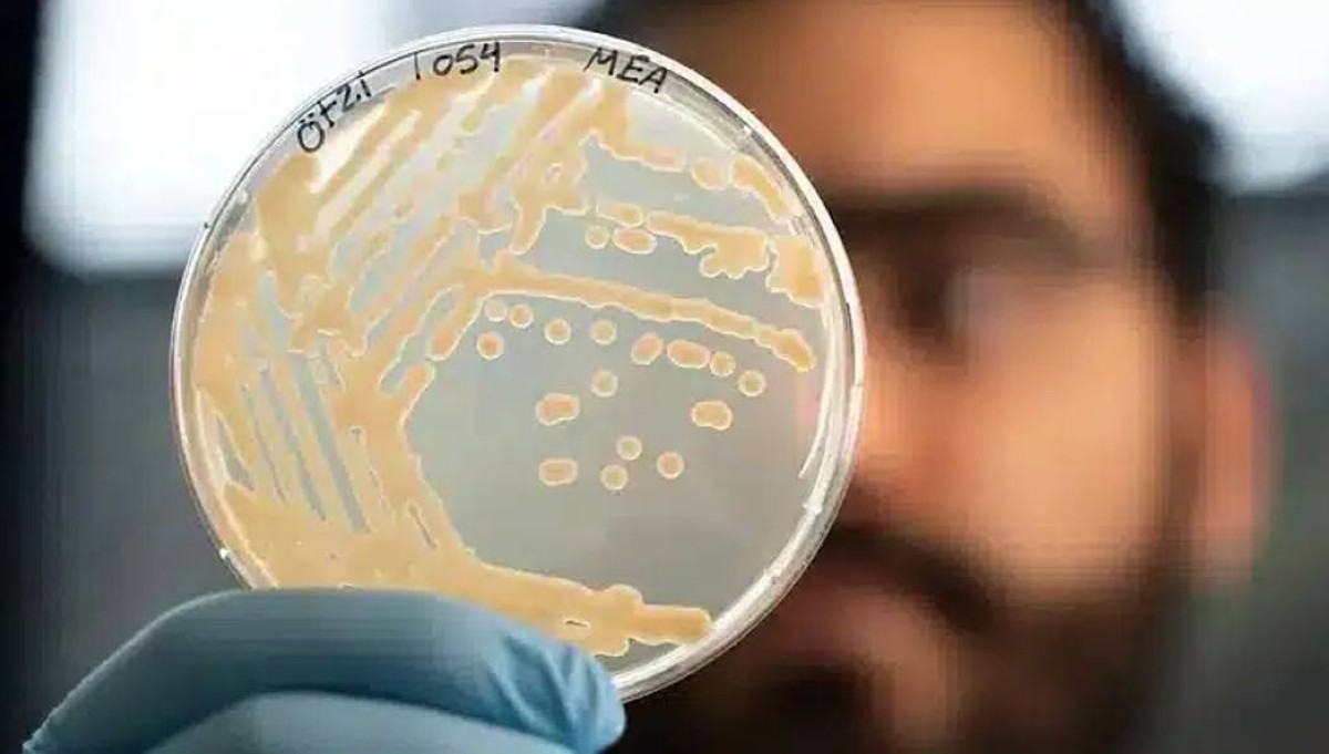 صنع من خميرة عمرها 5300 عام.. خبز لا مثيل له على وجه الأرض