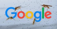 بعوض غوغل.. حل بيئي أم مغامرة في الطبيعة؟