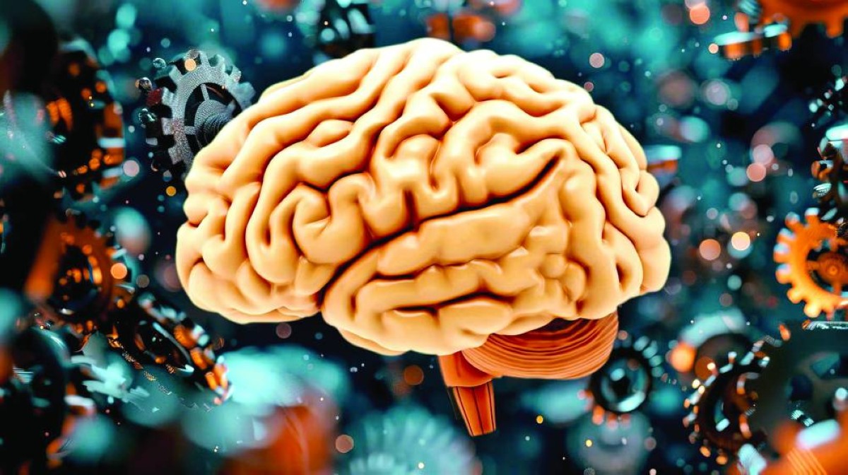 تجربة ناجحة لحفظ الدماغ من التلف بعد الوفاة