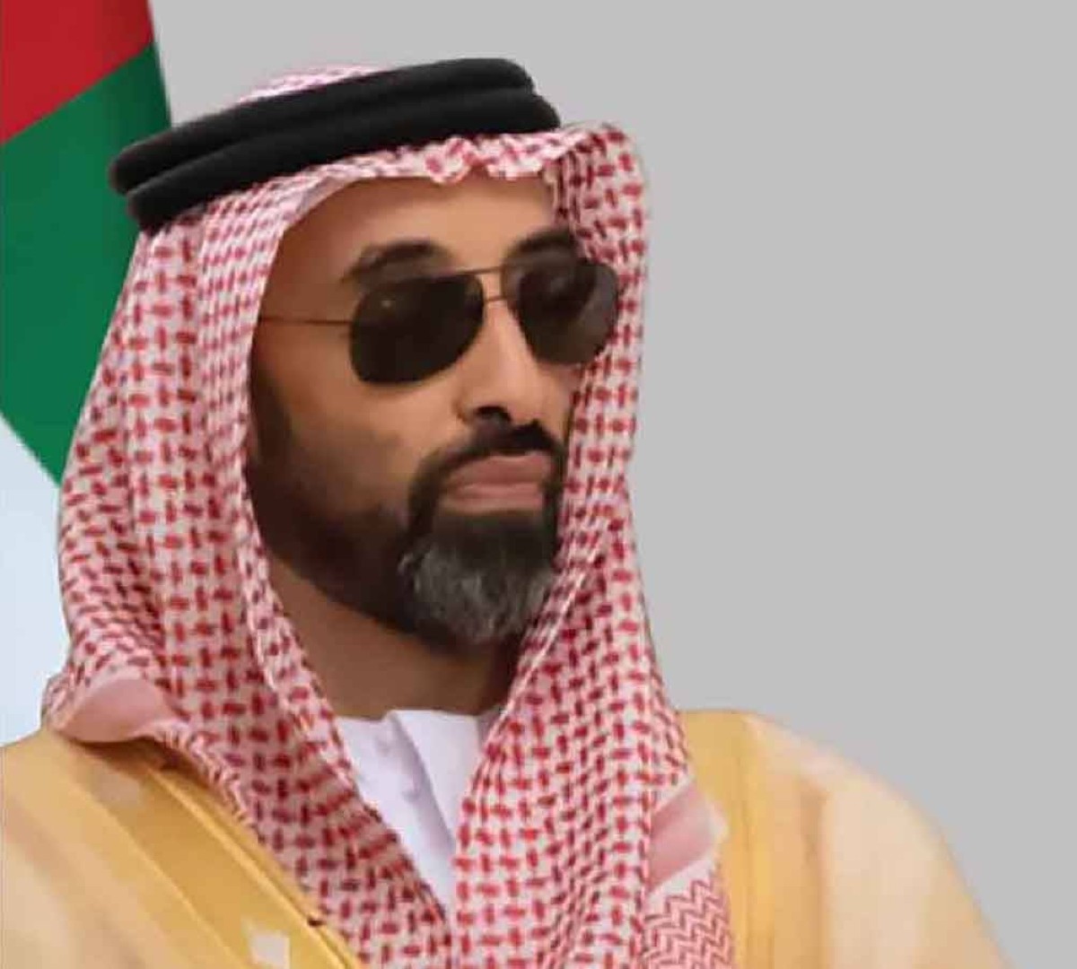 طحنون بن زايد: ندعو الله أن يجعله عاماً مليئاً بالخير والأمن والازدهار