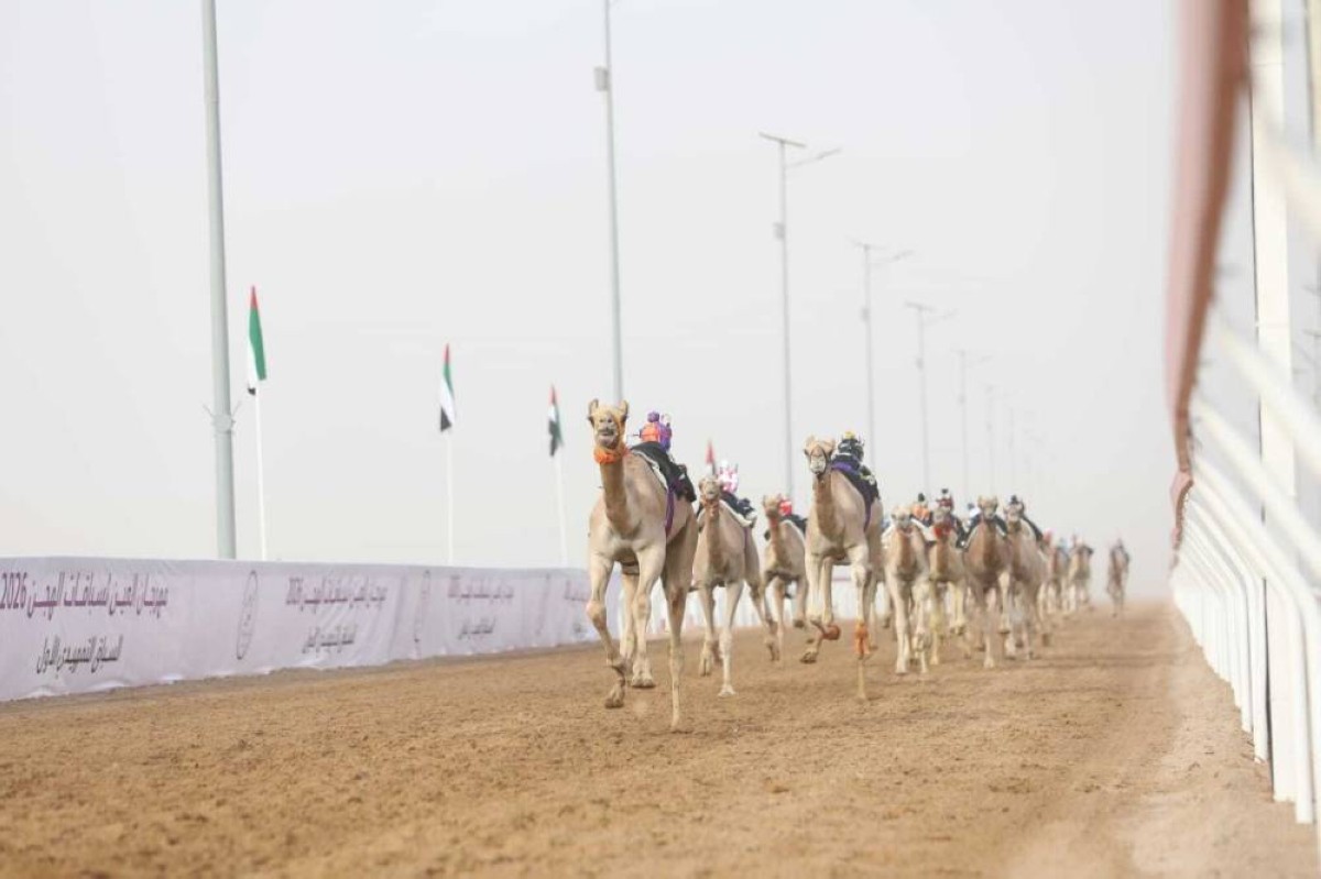 «الشاهينية» تتصدر الشوط الأول في«الفطامين» بمهرجان العين لسباقات الهجن