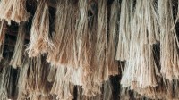 هل تتفوق قشور الموز على القطن في صناعة الأزياء؟