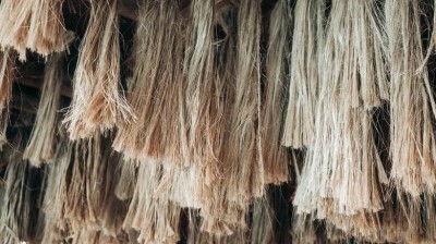 هل تتفوق قشور الموز على القطن في صناعة الأزياء؟