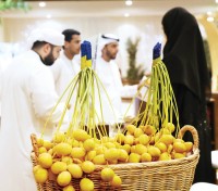 مشاركون في «دبي للرطب»: المنافسة تحفز جودة الإنتاج وتكرس مكانة النخلة
